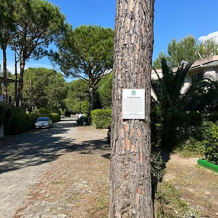 Casa vacanze Rent House